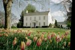 Historic Crescent Bend House & Gardens: "Blooms for the Cure" Day 1354.jpg