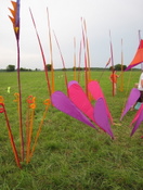 Knoxville Museum of Art: BLOOM - Outdoor Exhibition 1426.jpg