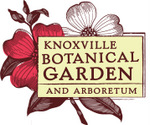 Knoxville Botanical Garden and Arboretum: Learn: The Fundamentals of Proper Pruning 6569.jpg